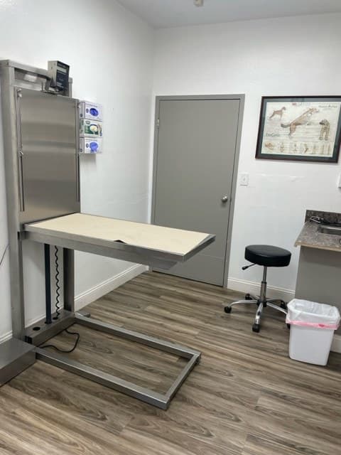 Exam room with a stainless steel table at Green Valley Animal Hospital