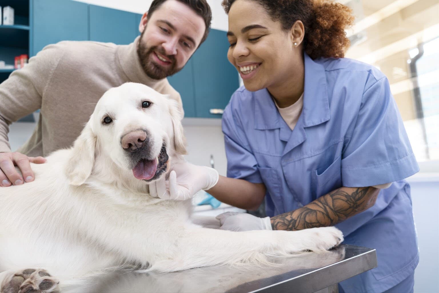 Veterinarian examining a smiling dog during a checkup